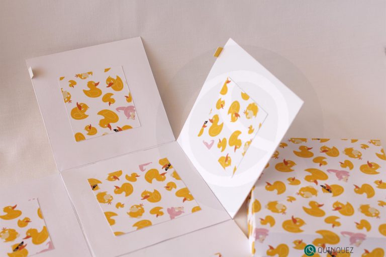 Duck Pattern Open Box