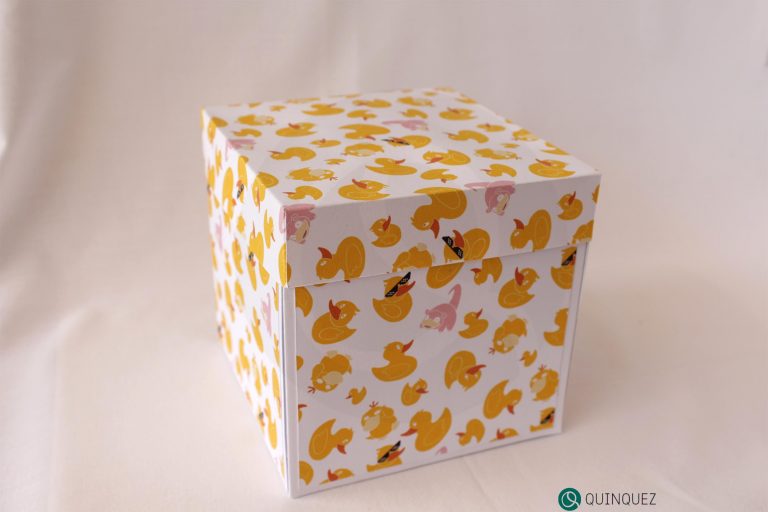 Duck pattern box Quinquez