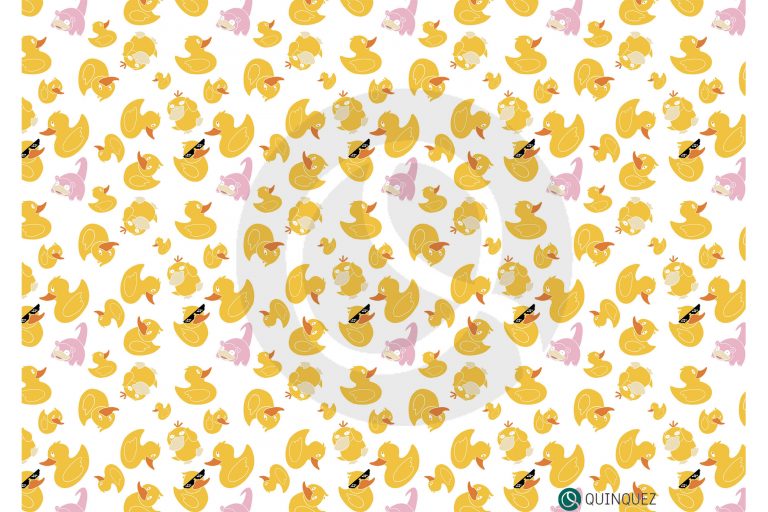 Duck Pattern Quinquez